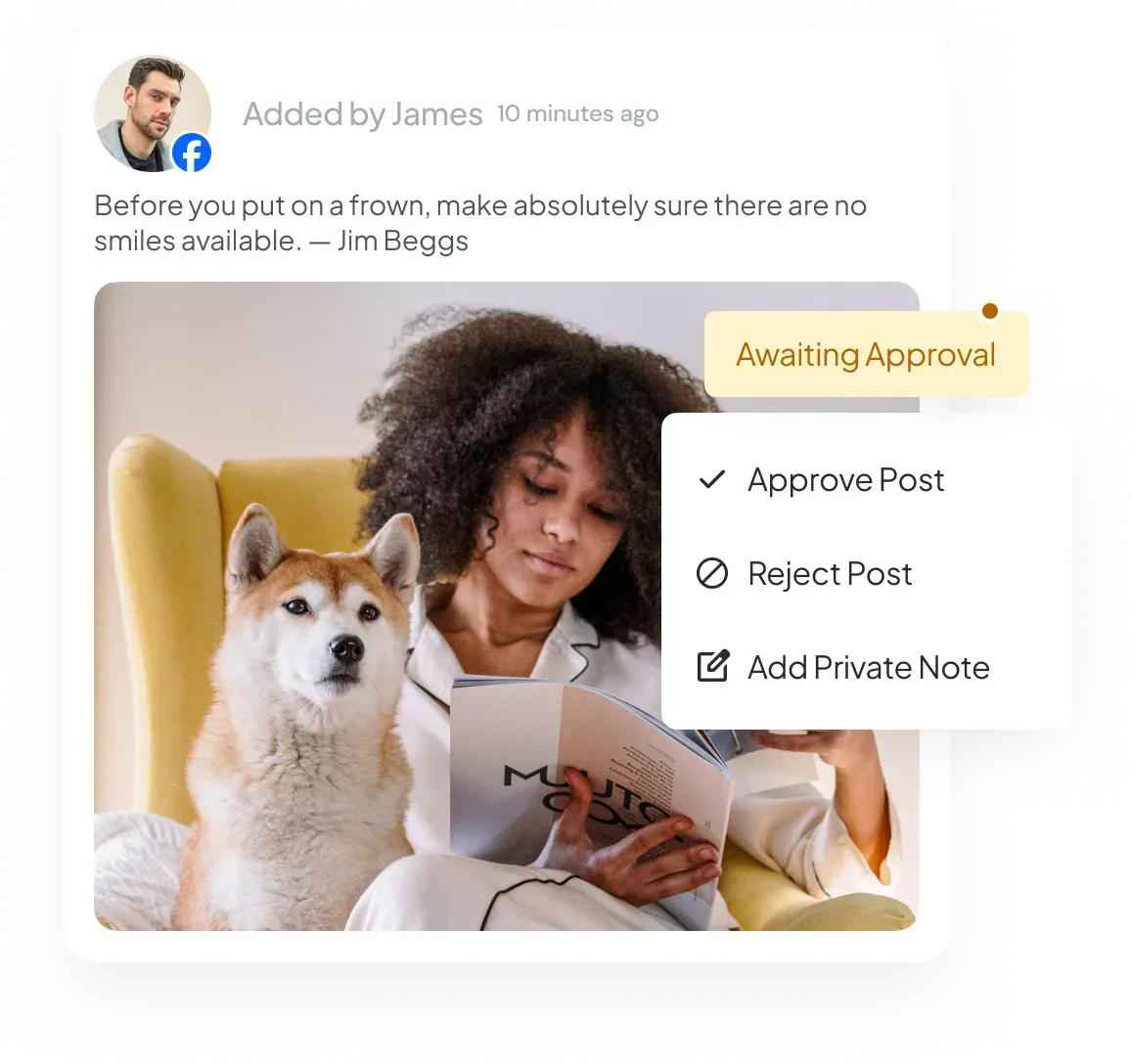 Facebook Post Preview and Review