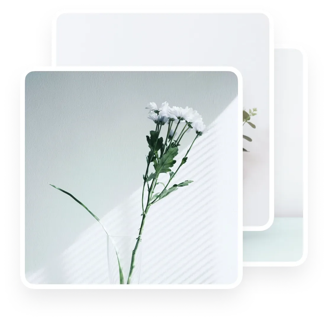 Pinterest Bulk Scheduling