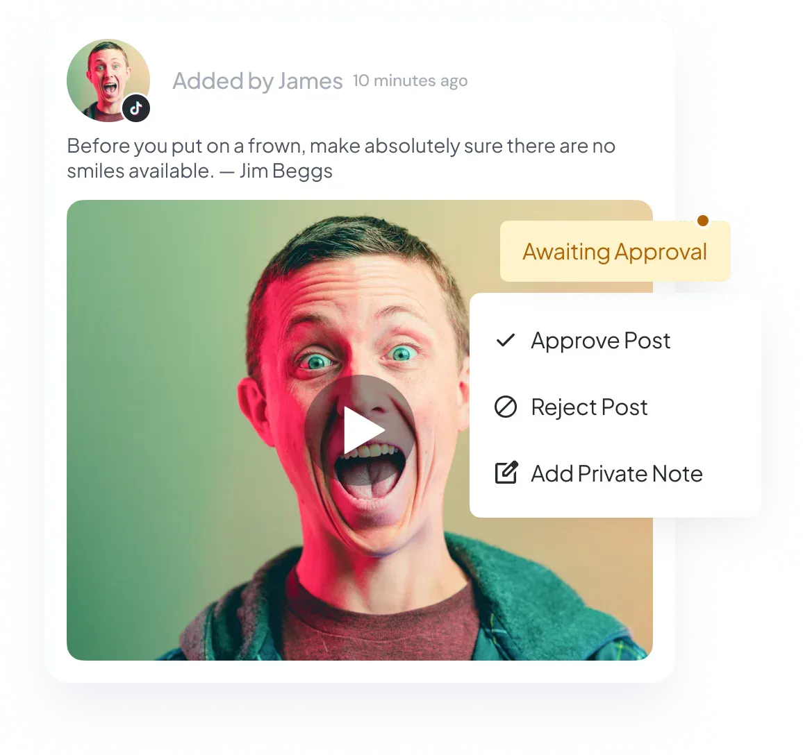 TikTok Video Preview